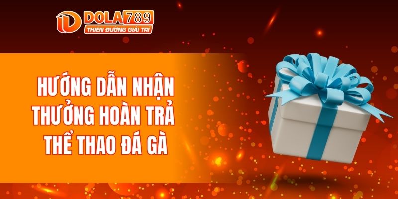 Hướng dẫn nhận thưởng hoàn trả thể thao đá gà
