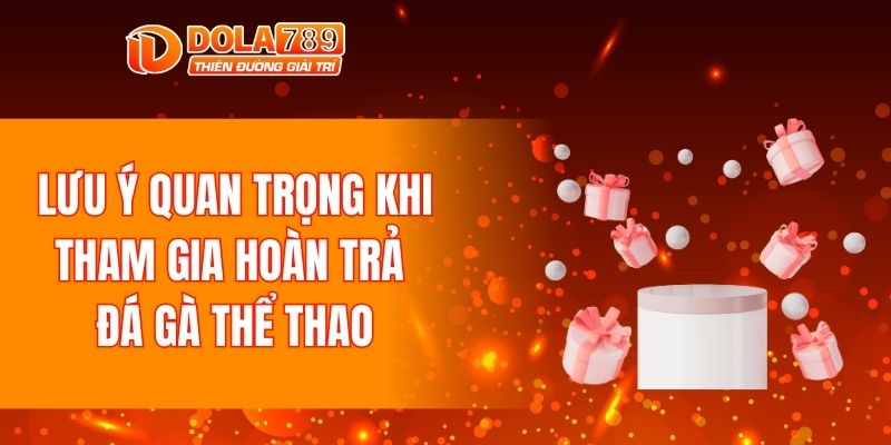 Lưu ý quan trọng khi tham gia hoàn trả đá gà thể thao