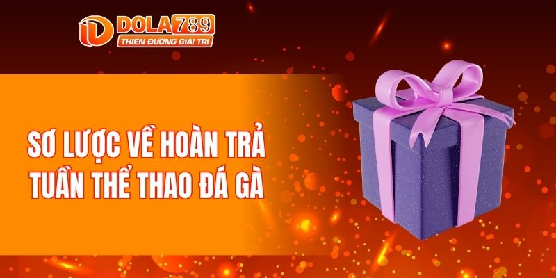 Sơ lược về hoàn trả tuần thể thao đá gà
